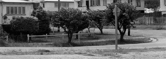 CRIME SCENE PHOTO: MURDER IN THE SHADOW OF THE BAUHINIAS...